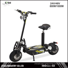 fashion Electric Scooter 36V 1000W